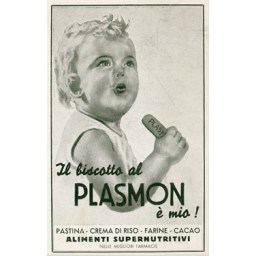 Plasmon Biscuits