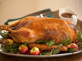 029_Roast-Goose-and-Stuffing_s4x3_al